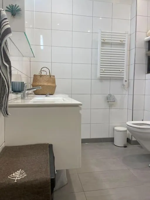 Central Two-Bedroom Apartment Geneva Switzerland