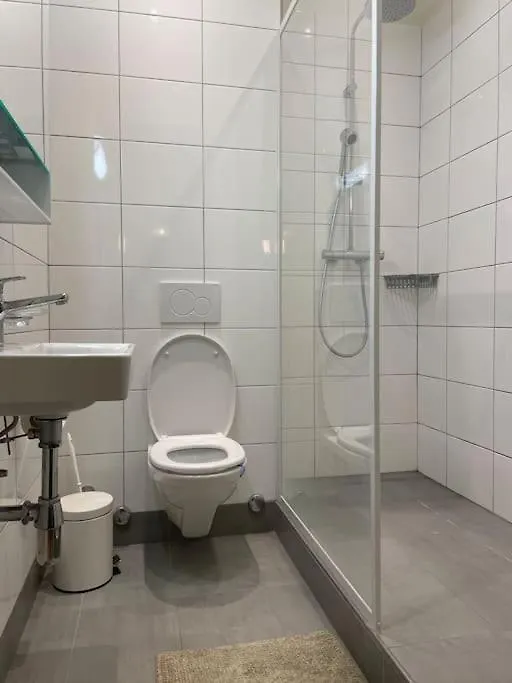 Central Two-Bedroom Apartment Geneva